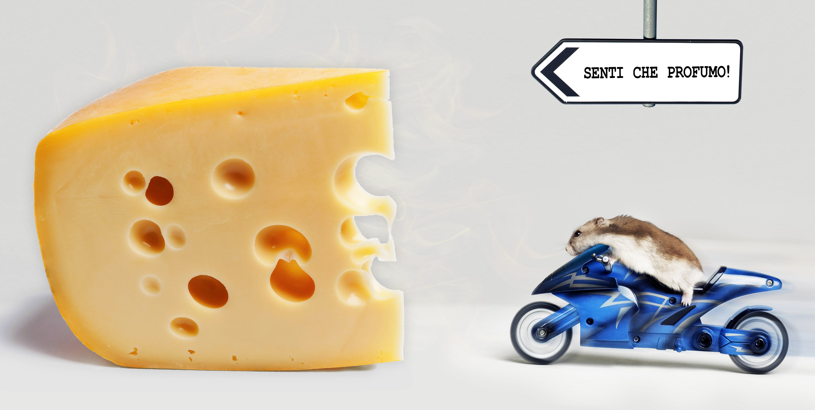QueLLiDelNaso by LLsolutions - marketing olfattivo